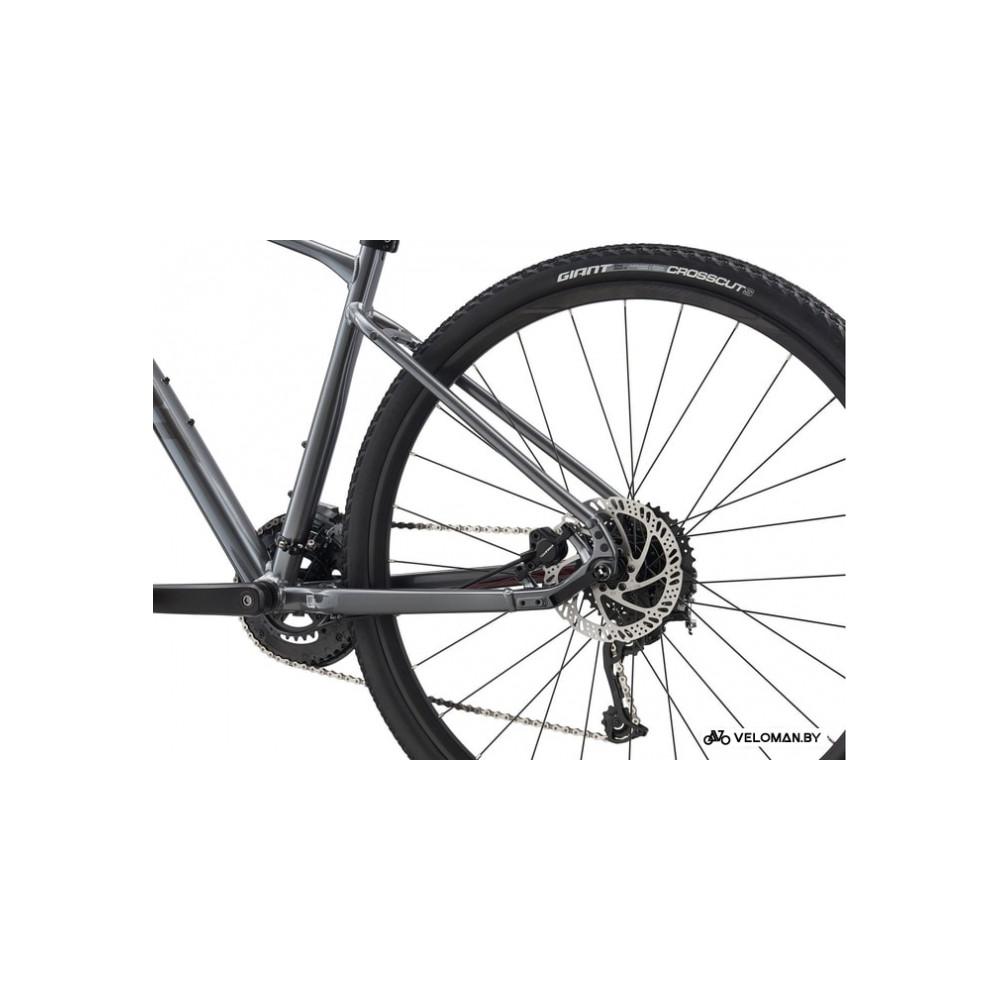 Giant Roam 2 Disc M 2021