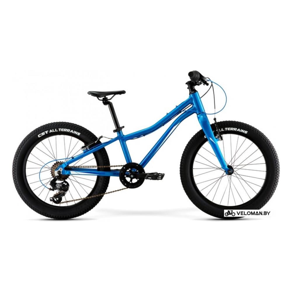 Детский велосипед Merida Matts J20+ Eco 2021 (синий)