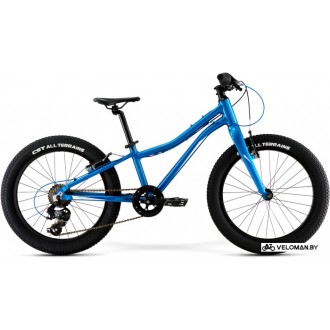 Детский велосипед Merida Matts J20+ Eco 2021 (синий)