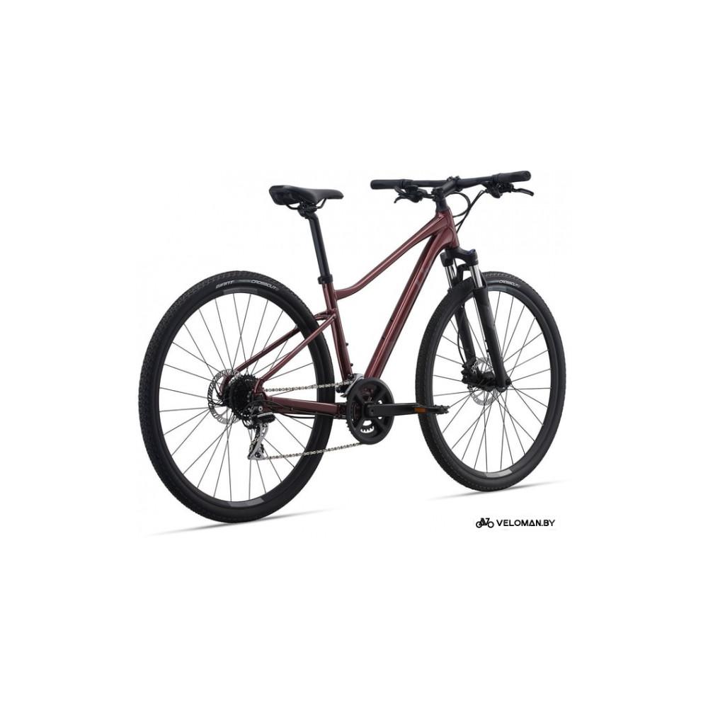 Giant Liv Rove 3 DD S 2021