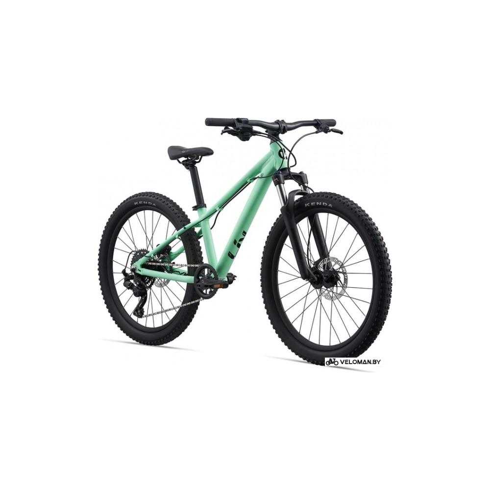 Giant stp 24 fs 2021 new arrivals