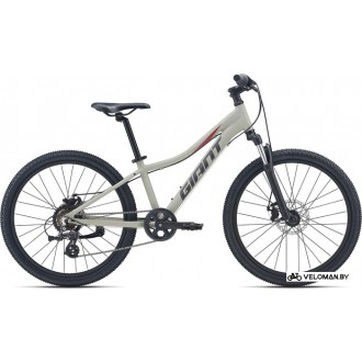 Велосипед горный Giant XTC JR Disc 24 2021