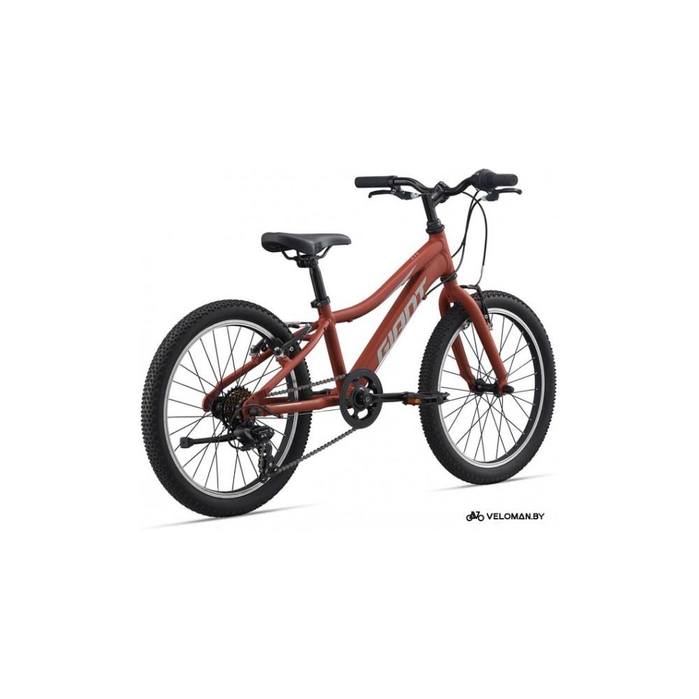 Giant xtc jr 20 lite clearance