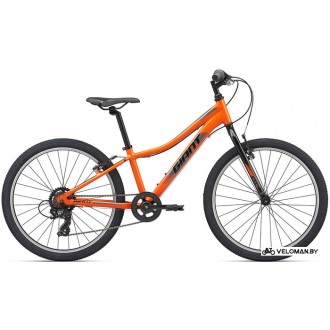 Велосипед горный Giant XTC JR 24 Lite 2020 (оранжевый)