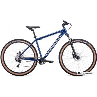Велосипед горный Forward Buran 29 2.0 Disc 2021 (синий/серебристый)