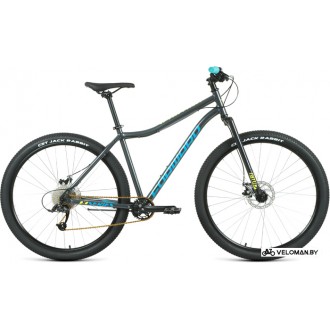 Велосипед горный Forward Sporting 29 X D р.19 2022 (темно-серый/зеленый)
