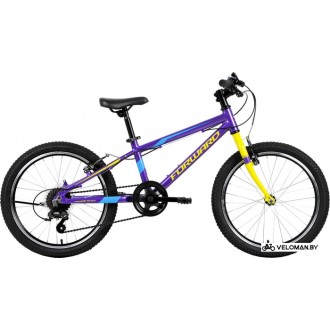 Детский велосипед Forward Rise 20 2.0 (фиолетовый, 2019)