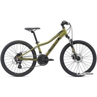Велосипед горный Giant XTC JR Disc 24 2020 (зеленый)