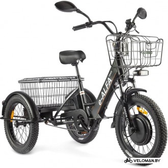 Электровелосипед городской Eltreco Green City e-ALFA Trike 2022 (черный)