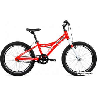 Детский велосипед Forward Comanche 20 1.0 2019 (красный)