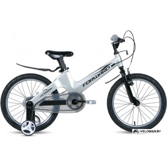 Детский велосипед Forward Cosmo 18 2.0 2021 (серебристый)