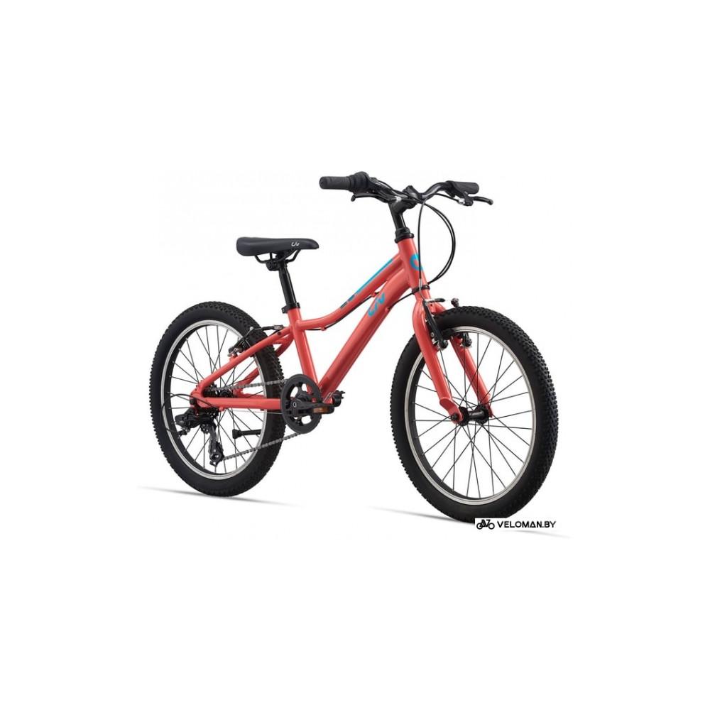 Liv enchant 20 lite 2021 clearance