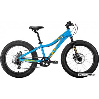 Детский велосипед Forward Bizon Micro 20 2020 (голубой)