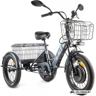 Электровелосипед городской Eltreco Green City e-ALFA Trike 2022 (темно-серый)