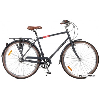 Велосипед городской Shulz Roadkiller L 2023 (серый)