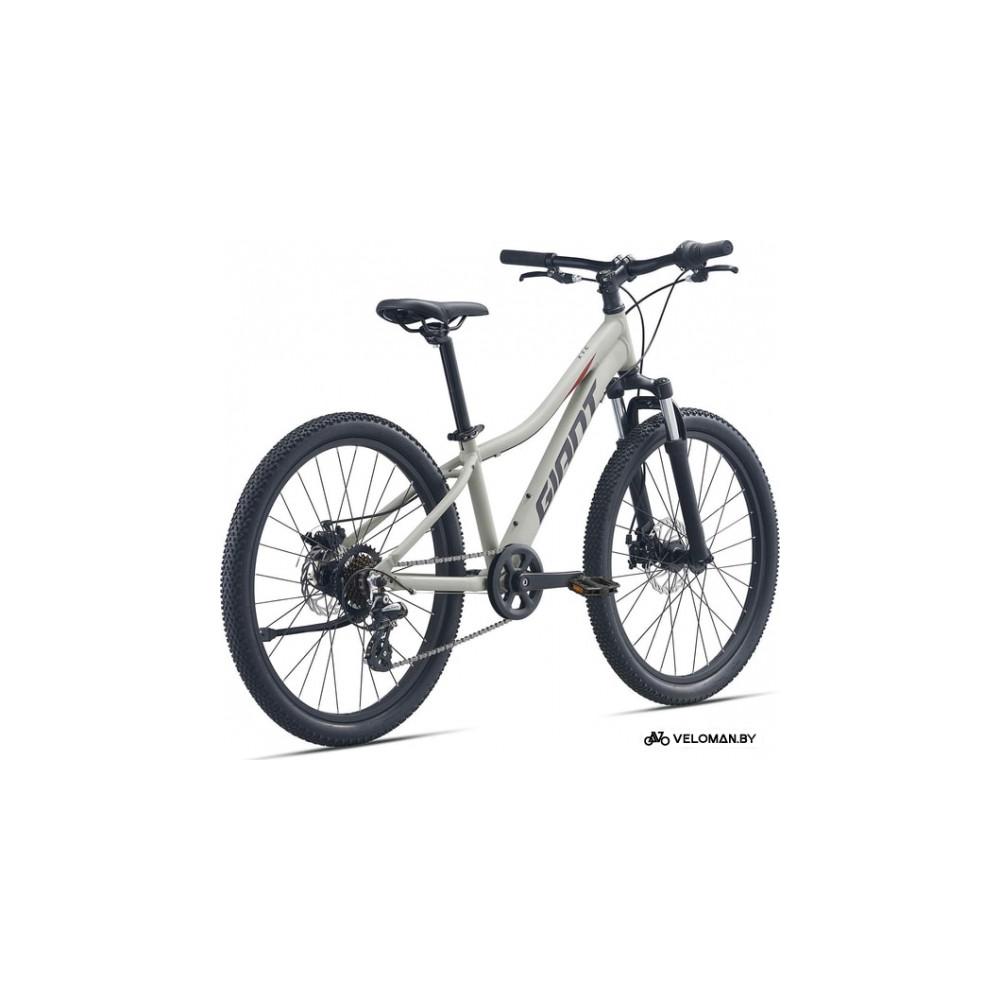 Giant XTC JR Disc 24 2021