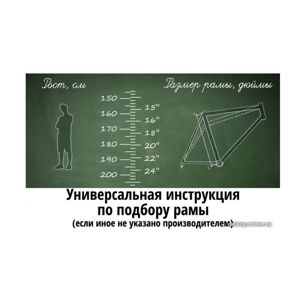 Велосипед горный Forward Sporting 27.5 X D Courier 2022