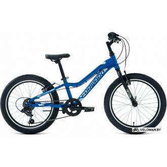Детский велосипед Forward Twister 20 1.0 2022 (синий/белый)