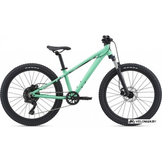Велосипед горный Giant Liv STP 24 FS 2021