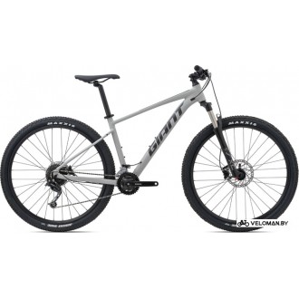 Велосипед горный Giant Talon 2 (GE) 29 L 2021 (серый)