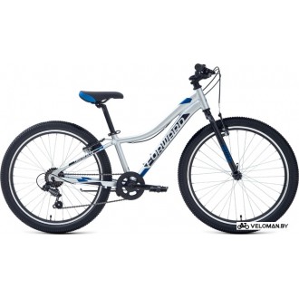 Велосипед горный Forward Twister 24 1.0 2021 (серый)