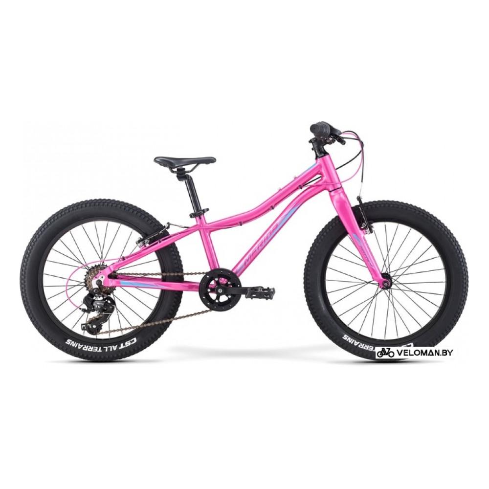 Детский велосипед Merida Matts J20+ Eco 2021 (розовый)