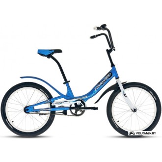 Детский велосипед Forward Scorpions 20 1.0 2021 (голубой)