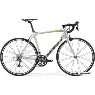 Велосипед шоссейный Merida Scultura RIM 100 L 2022 (шелковый серебристый)