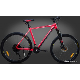 Велосипед Foxter GoMax р.19 29 2020 (красный)