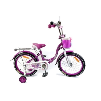 Велосипед городской Favorit Butterfly 20" (фиолетовый)
