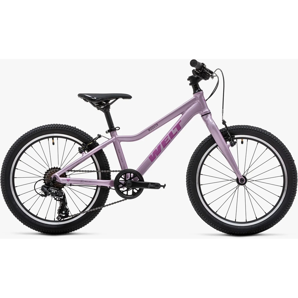Велосипед Welt Moovix 2.0 VB 20 (Amazing Pink)